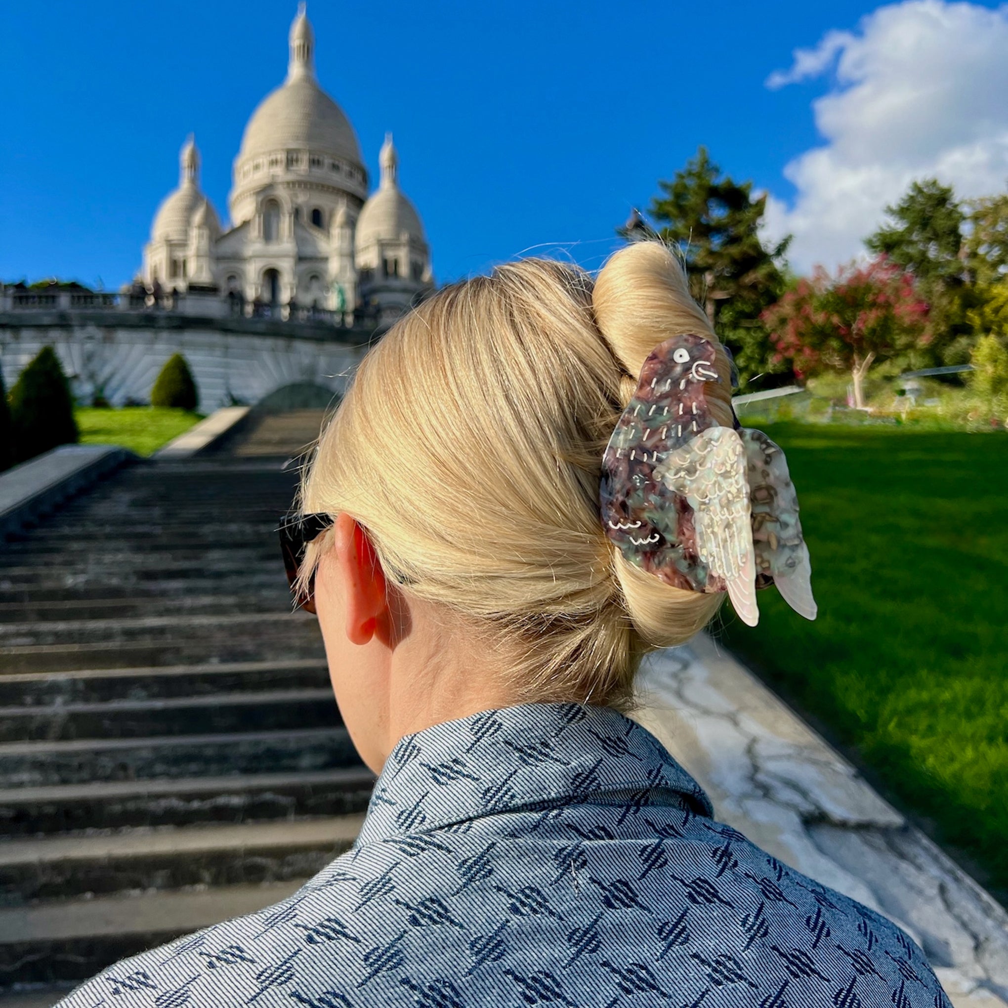 Solar Eclipse Hair Clip - Pigeon - Image 2