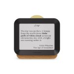 Author Forecast Digital Weathervane - Large