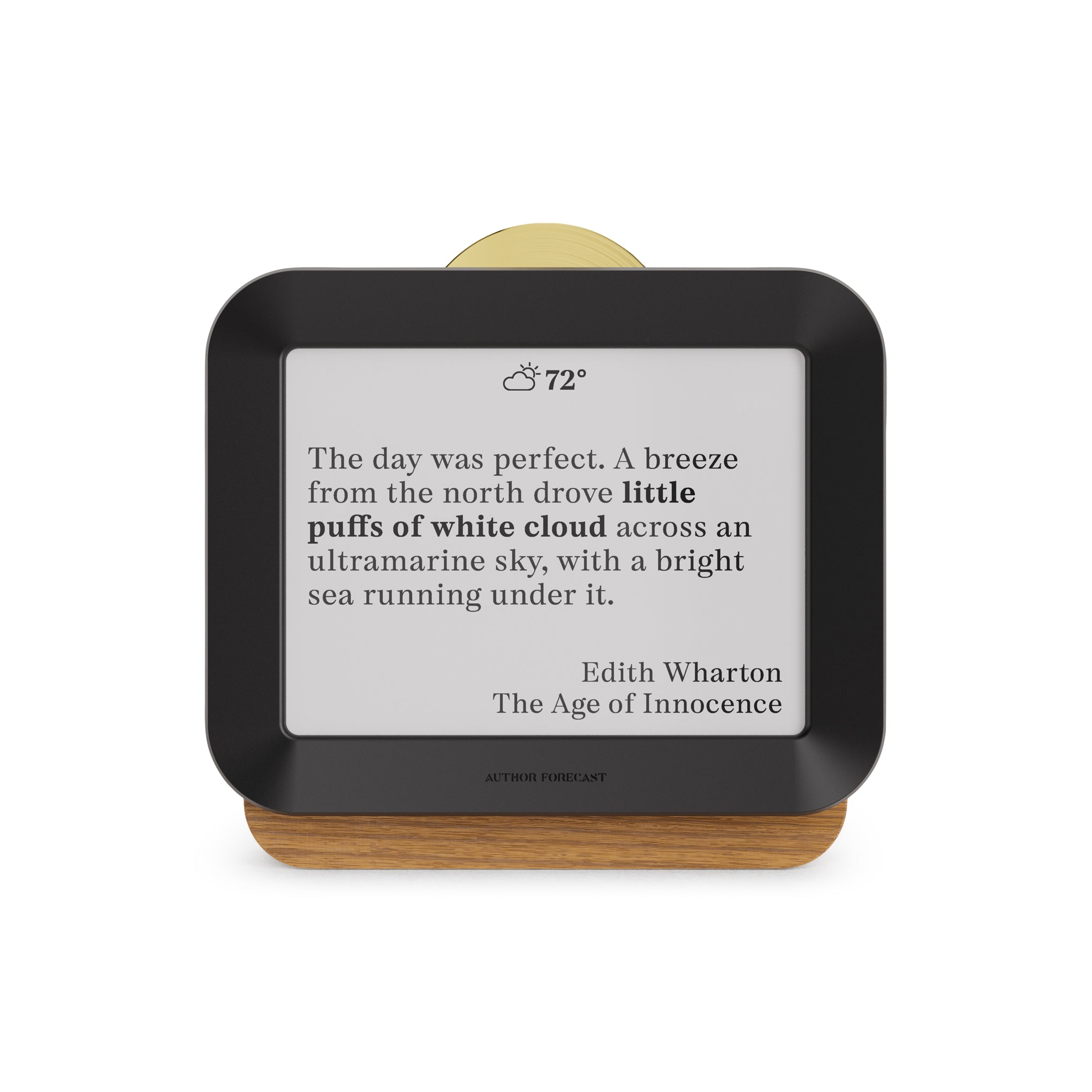 Author Forecast Digital Weathervane - Large