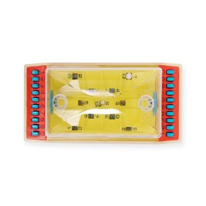 A Vida Portuguesa Mini Basketball Game