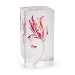 Rare Tulip Objet d'Art