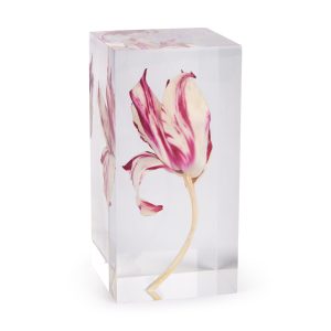 Rare Tulip Objet d'Art