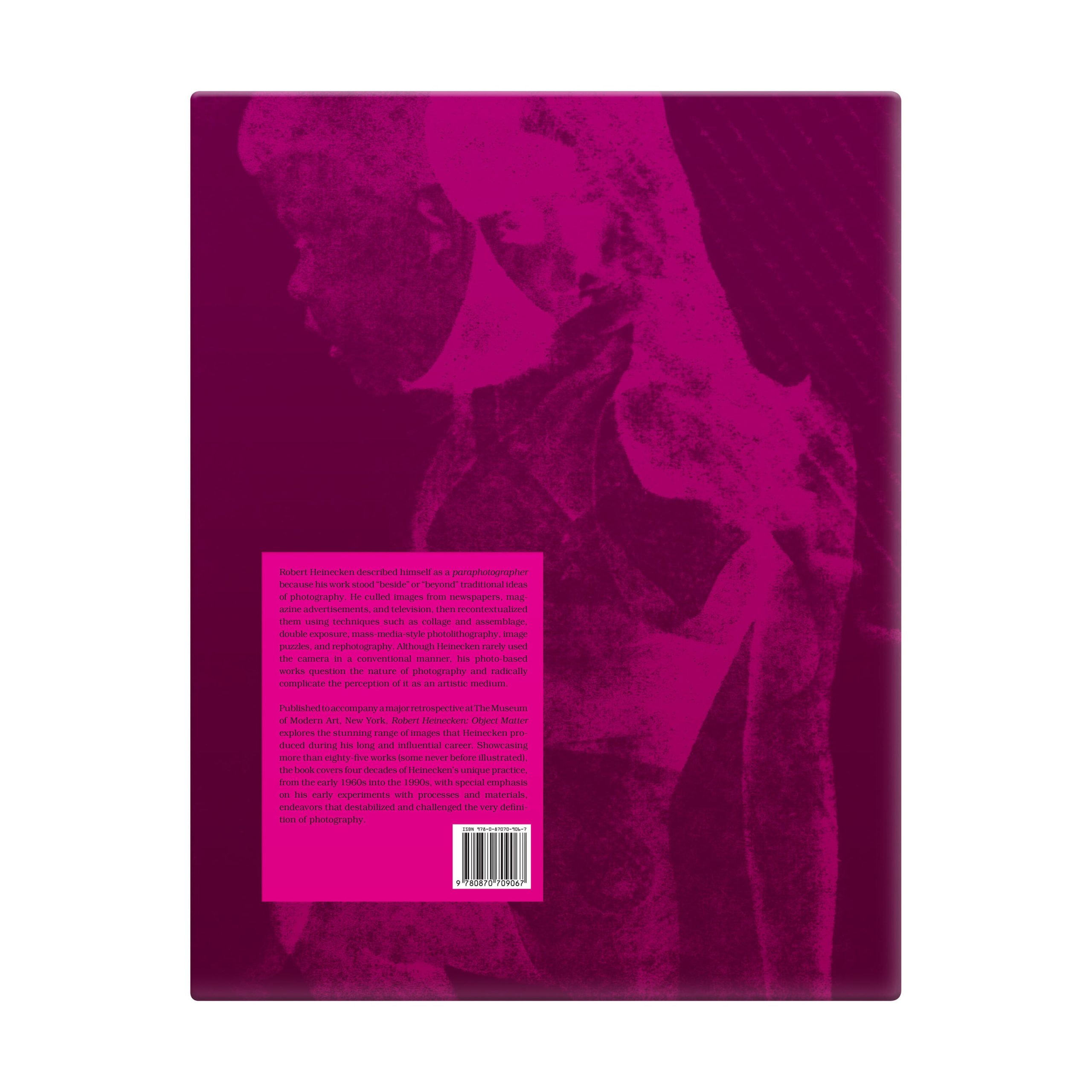 Henri Matisse Interior with Violin Case Poster - Image 3