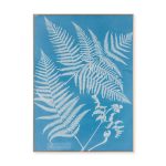 Anna Atkins Pteris Aquilina Framed Print