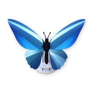 Assembli Shop DIY Reflective Paper Kit - Butterfly