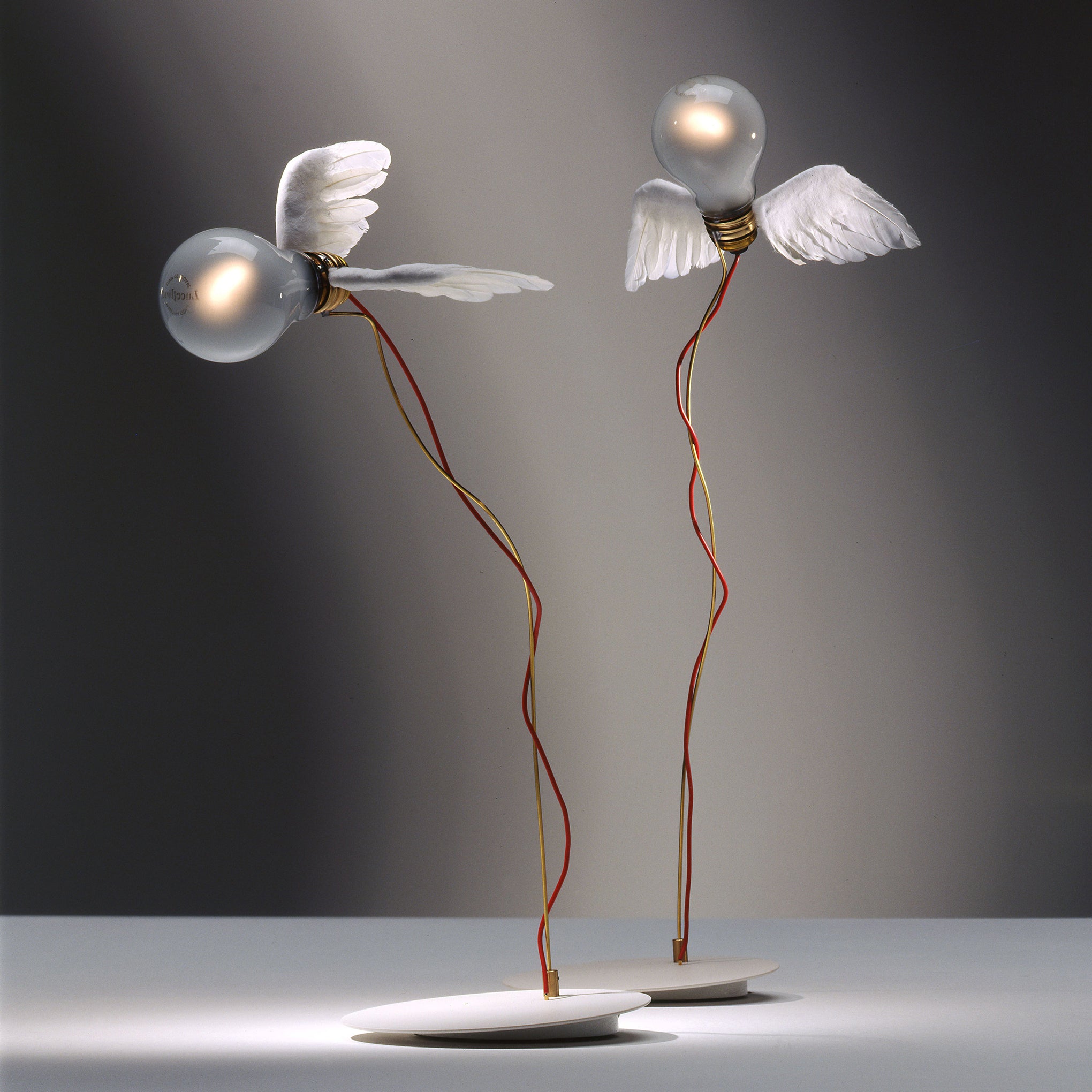 Lucellino LED Table Lamp - Image 4