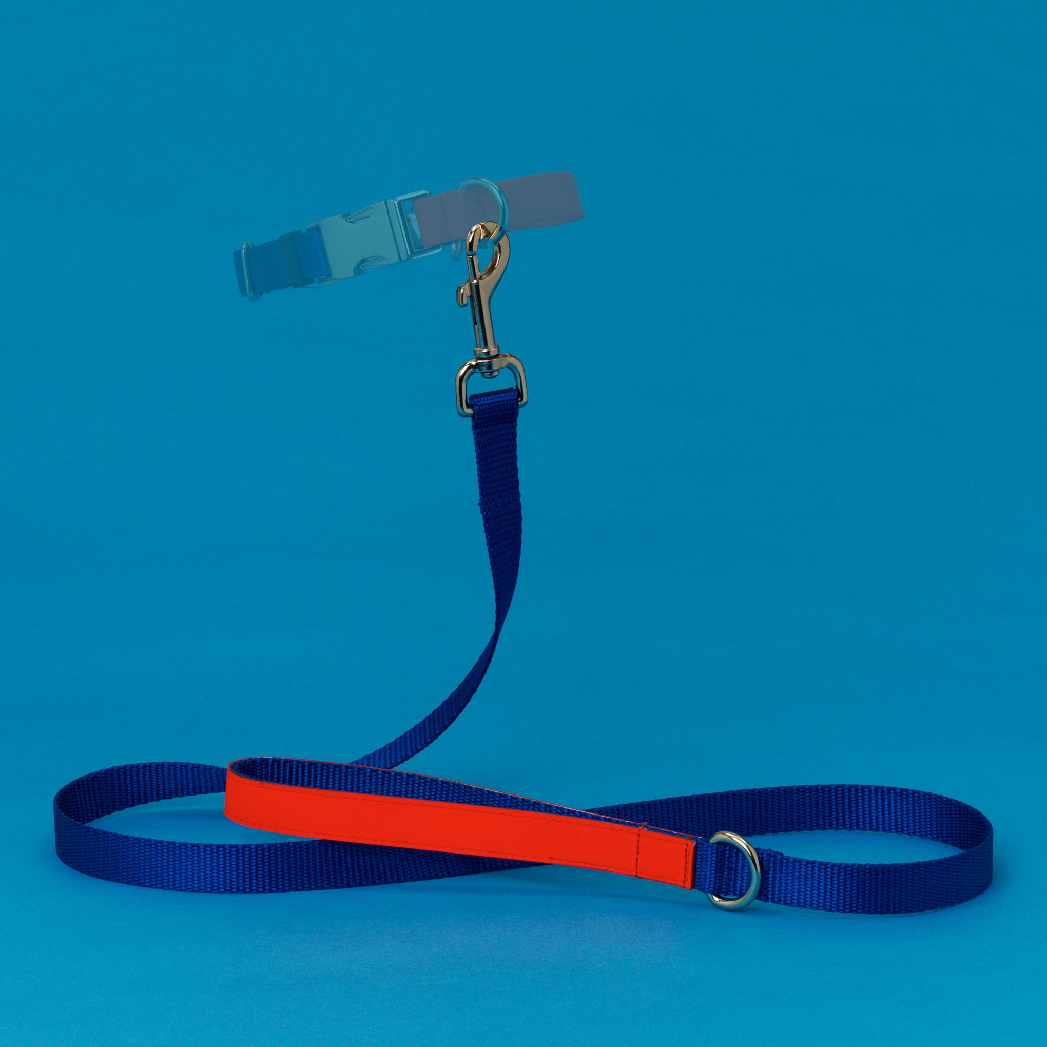 Ware of the Dog Two-Tone Nylon Collar - Medium - Image 2