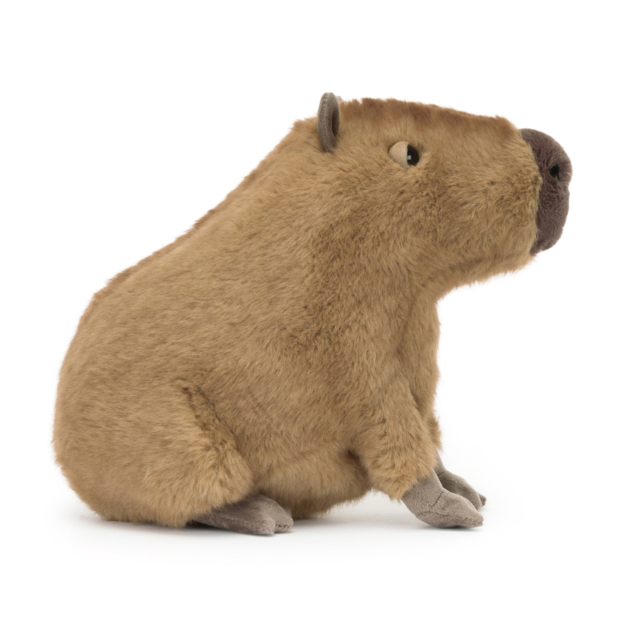 Jellycat Clyde Capybara Plush Toy - Image 3