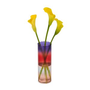 Gradient Glass Vase - Small