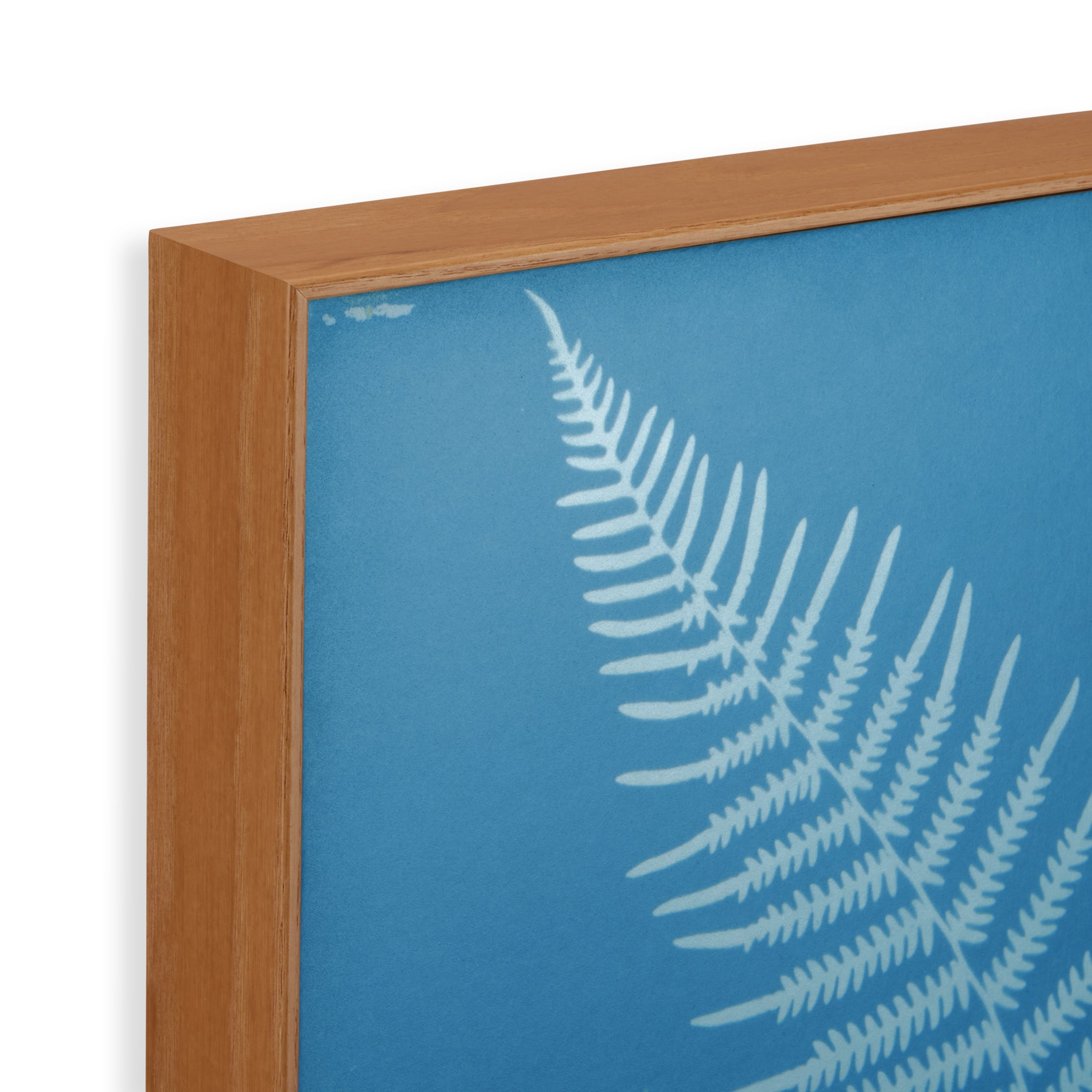 Anna Atkins Pteris Aquilina Framed Print - Image 3
