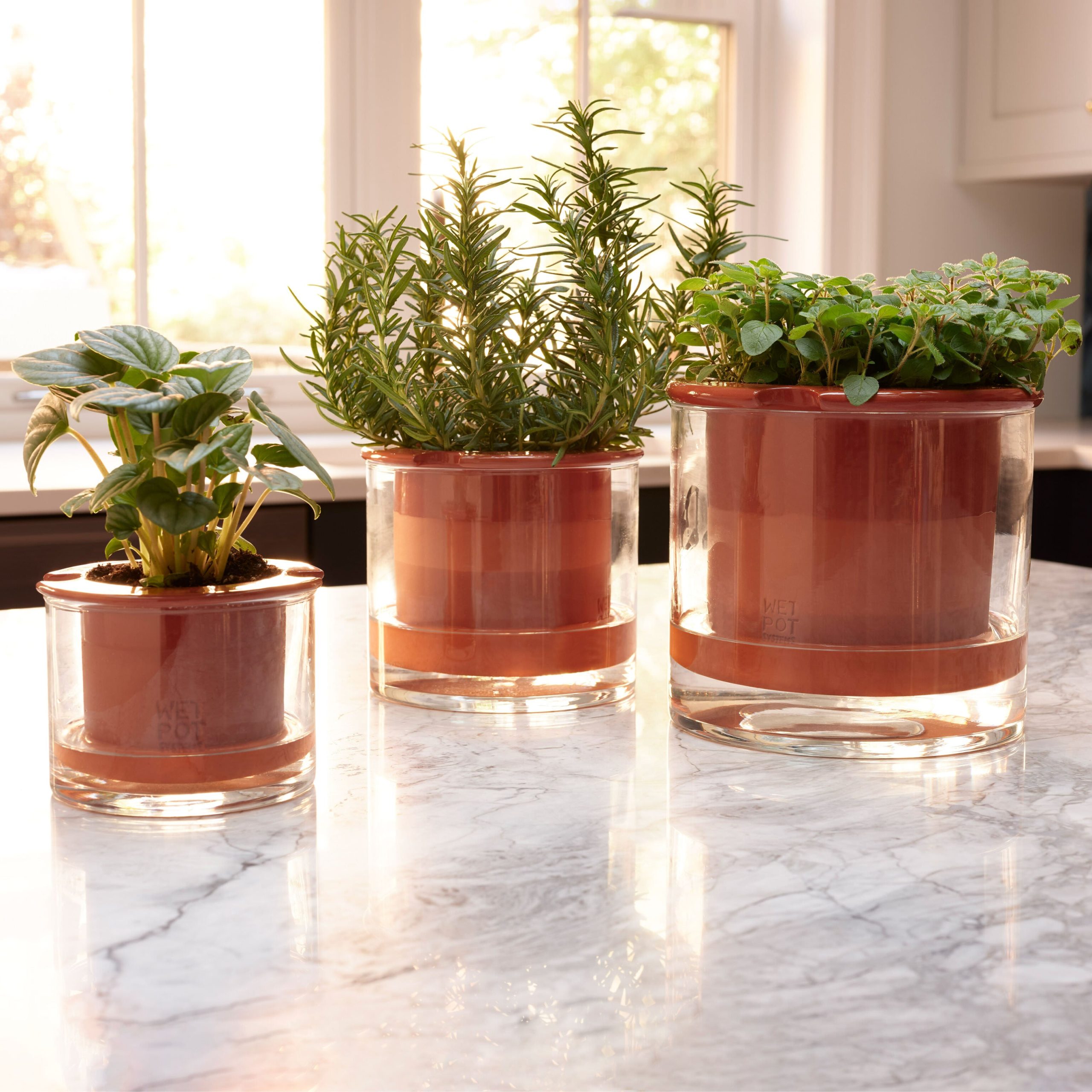 Self-Watering Wet Pots - Small - Image 4