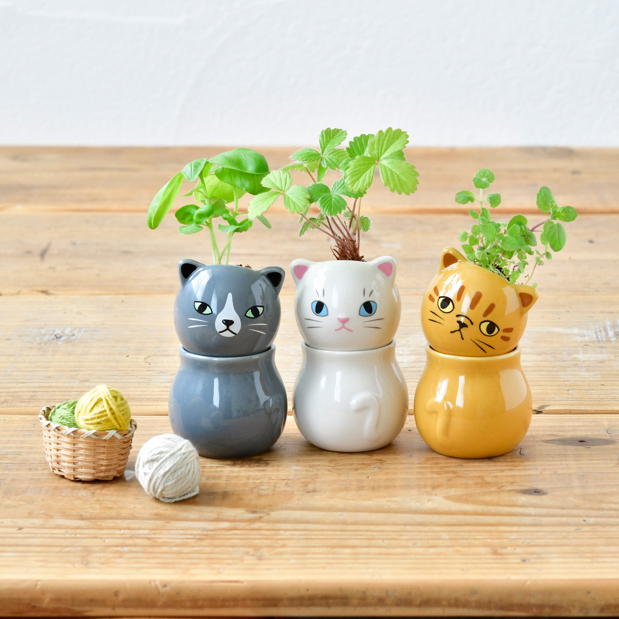Corocoro Cat Planter - Single - Image 6