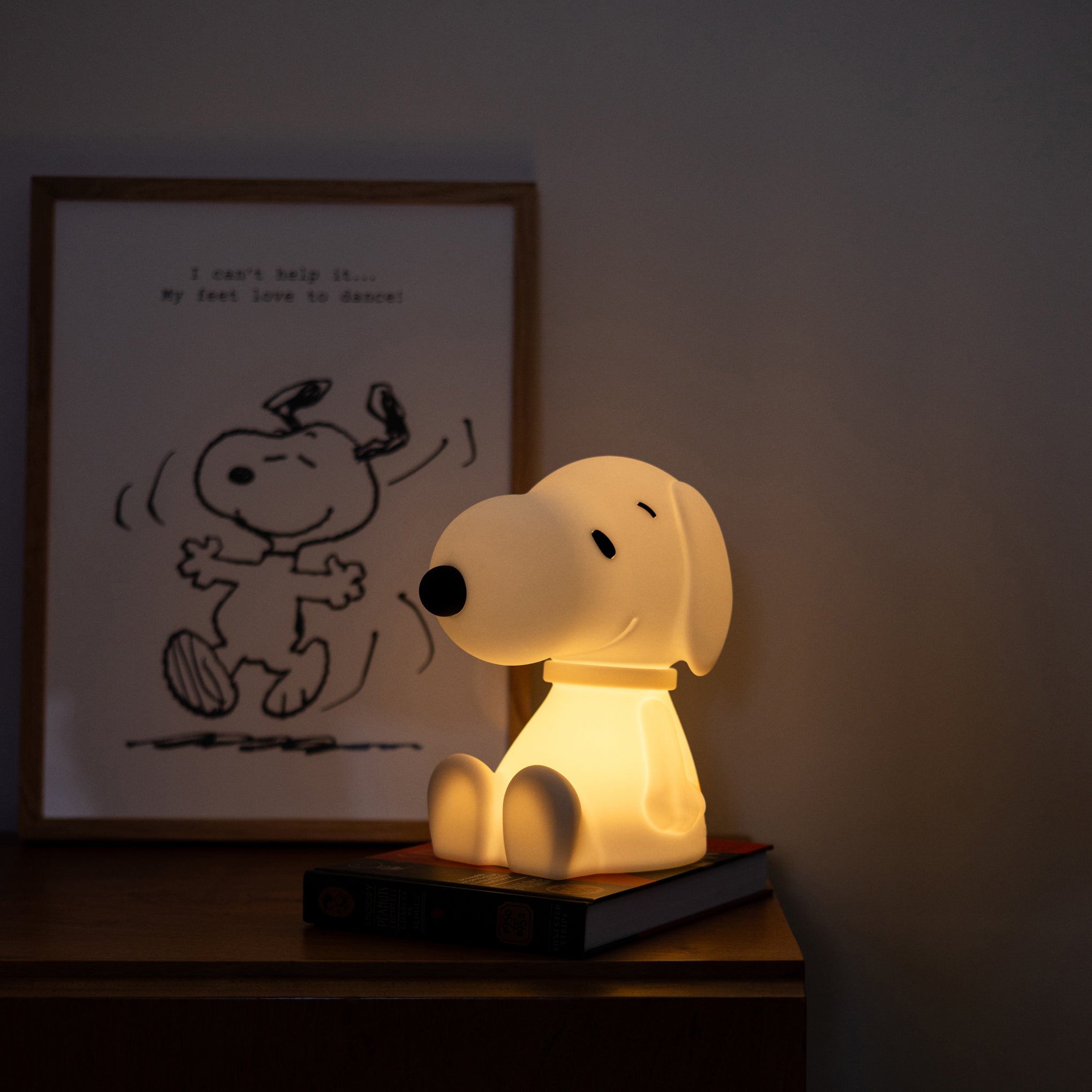 Snoopy Portable First Light - Large - Image 4
