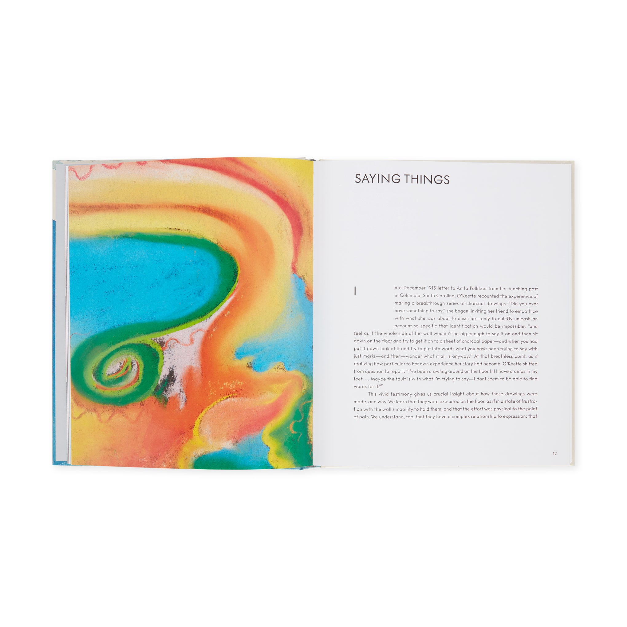 Georgia O'Keeffe: To See Takes Time - Hardcover - Image 5