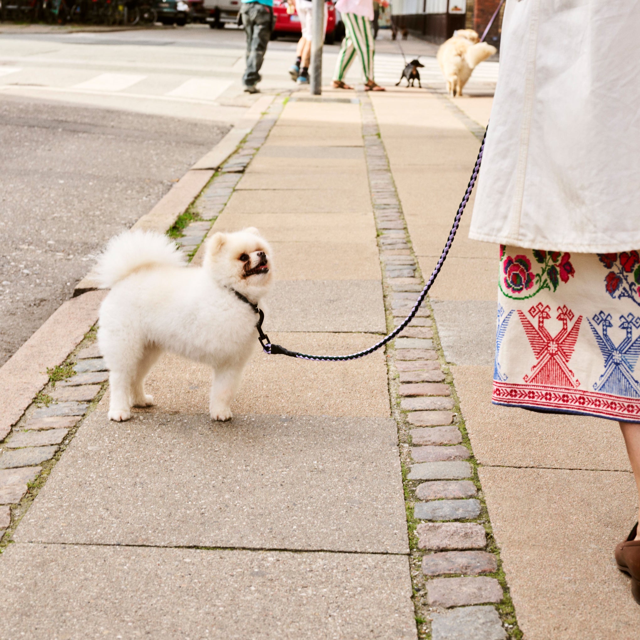 HAY Braided Dog Leash in Recycled Polyester - Lavender/ Green - Image 2