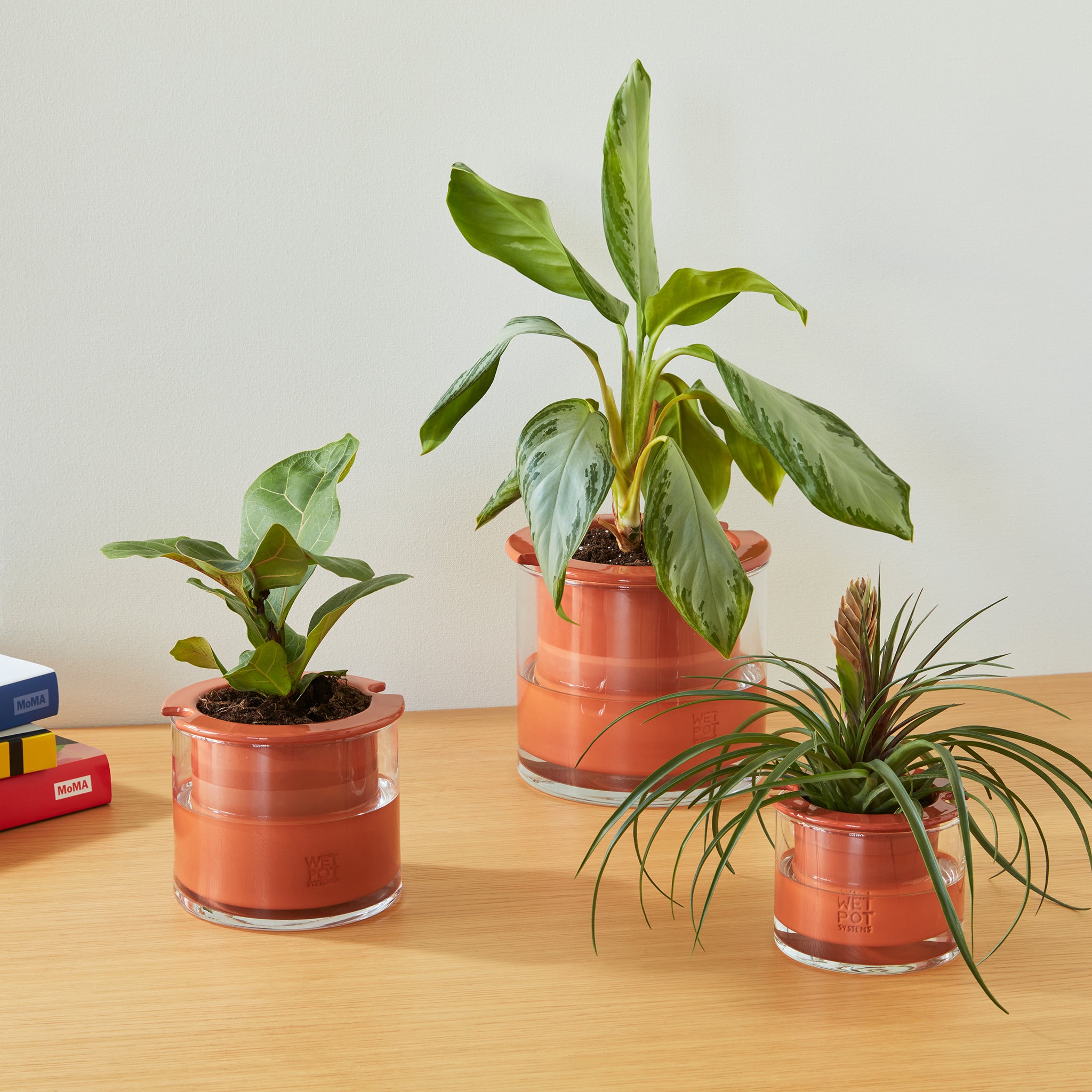 Self-Watering Wet Pots - Small - Image 2