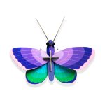 3D DIY Decorative Insects - Blue Copper Bfly