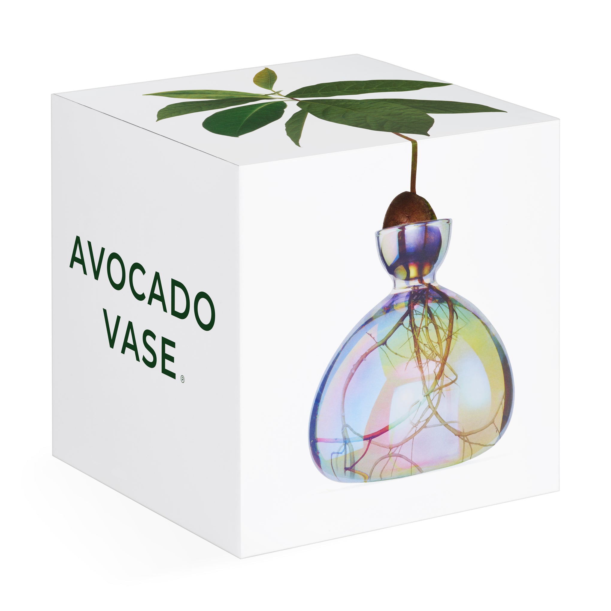 Avocado Vase - iridescent - Image 4